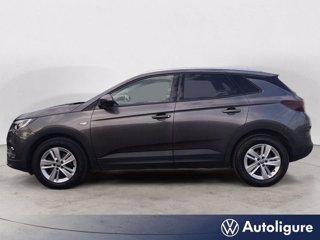 OPEL Grandland x 1.5 ecotec business s&s 130cv at8 1